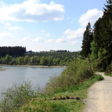 Boutique Chalet In B Llingen Near Lake Wirtzfeld Exteriör bild